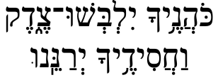 Graphic: Advice for Activists in Hebrew