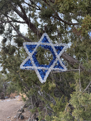 Photo: Blue Hebrew star in tree